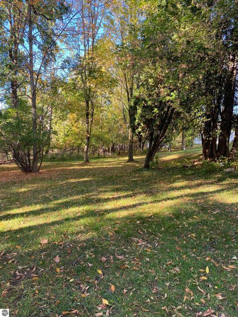 Tiny photo for 195 Fremont Street, West Branch, MI 48661 (MLS # 1939419)