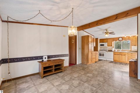 Tiny photo for 17651 Vondra, Thompsonville, MI 49683 (MLS # 1940000)