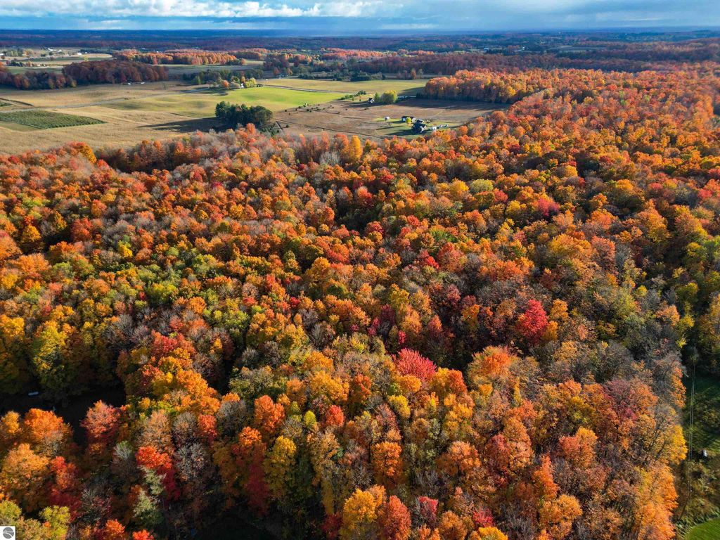 Photo of Parcel B Schichtel Road, Kingsley, MI 49649 (MLS # 1940085)