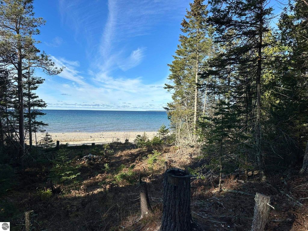 Photo of 32010 Mrs Reddings Trail, Beaver Island, MI 49782 (MLS # 1930435)