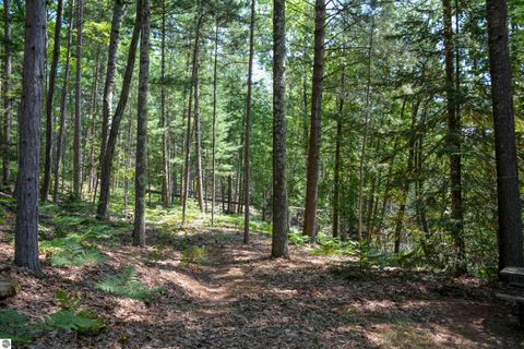 Tiny photo for 6483 W Plum Valley Road NW, Rapid City, MI 49676 (MLS # 1928284)