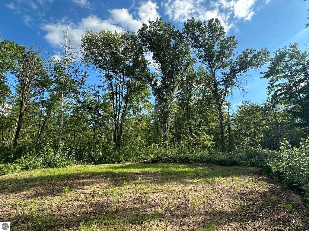 Photo of 5304 S Brown Road, Cadillac, MI 49601 (MLS # 1937814)