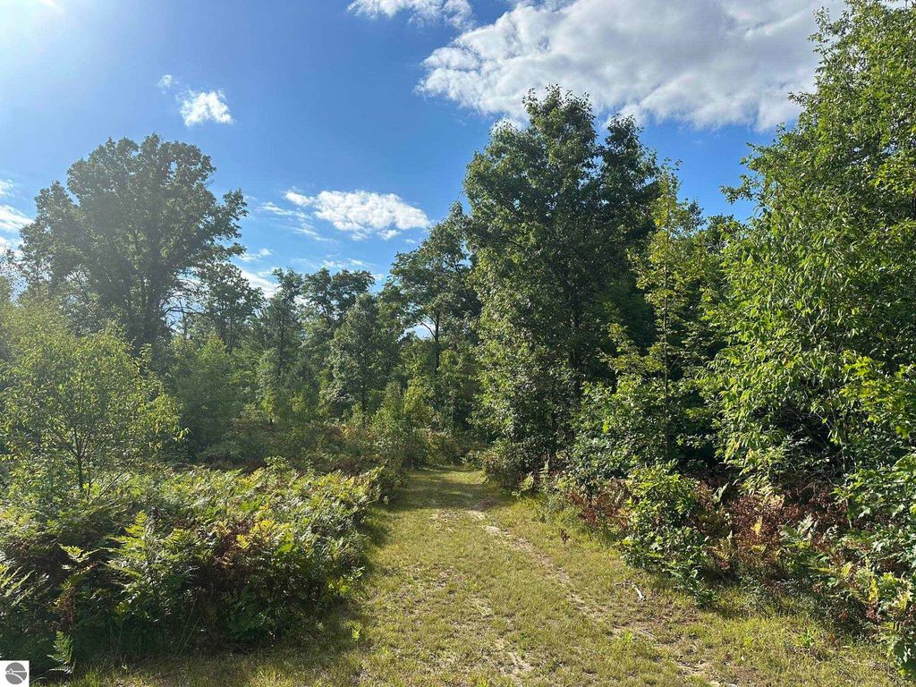 Photo of 5304 S Brown Road, Cadillac, MI 49601 (MLS # 1937814)