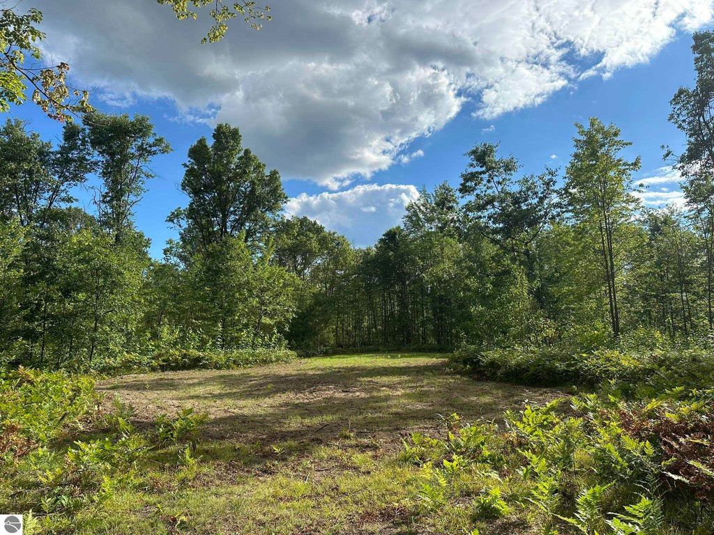 Photo of 5304 S Brown Road, Cadillac, MI 49601 (MLS # 1937814)