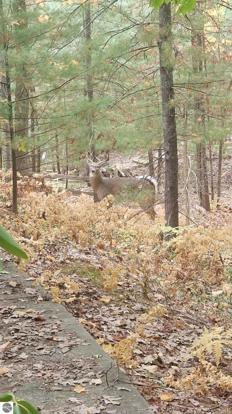 Tiny photo for 4545 Paper Birch Ln, Traverse City, MI 49686 (MLS # 1940435)