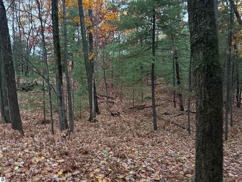 Tiny photo for 4545 Paper Birch Ln, Traverse City, MI 49686 (MLS # 1940435)