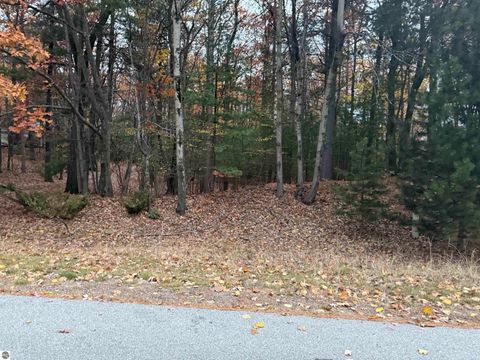 Tiny photo for 4545 Paper Birch Ln, Traverse City, MI 49686 (MLS # 1940435)