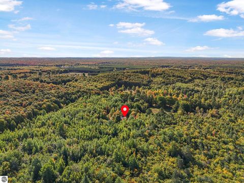 Tiny photo for 554 Westwood Road, Nw, Alden, MI 49612 (MLS # 1939347)