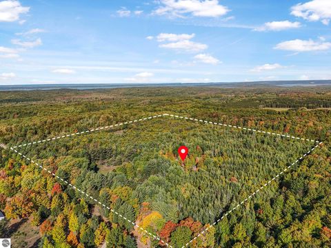 Tiny photo for 554 Westwood Road, Nw, Alden, MI 49612 (MLS # 1939347)