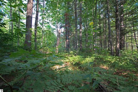 Tiny photo for V/L US-131, Kalkaska, MI 49646 (MLS # 1937828)