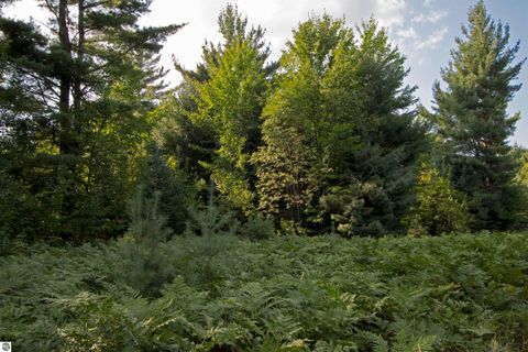 Tiny photo for V/L US-131, Kalkaska, MI 49646 (MLS # 1937828)
