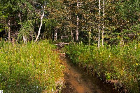 Tiny photo for V/L US-131, Kalkaska, MI 49646 (MLS # 1937828)