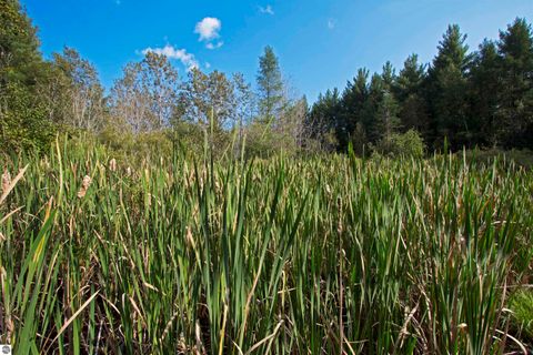 Tiny photo for V/L US-131, Kalkaska, MI 49646 (MLS # 1937828)