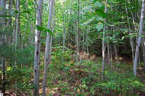 Tiny photo for V/L US-131, Kalkaska, MI 49646 (MLS # 1937828)
