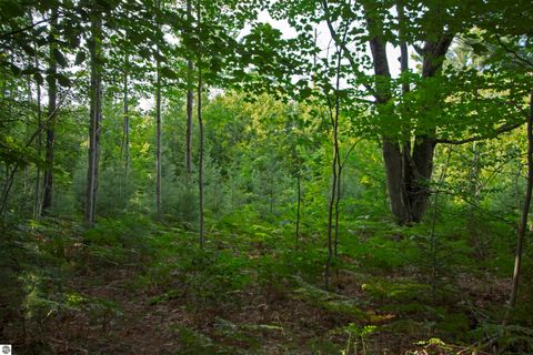 Tiny photo for V/L US-131, Kalkaska, MI 49646 (MLS # 1937828)