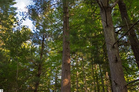 Tiny photo for V/L US-131, Kalkaska, MI 49646 (MLS # 1937828)