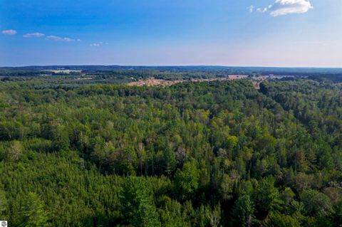 Tiny photo for V/L US-131, Kalkaska, MI 49646 (MLS # 1937828)