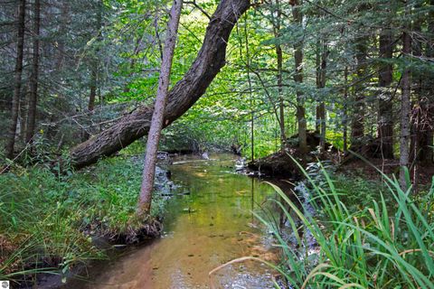 Tiny photo for V/L US-131, Kalkaska, MI 49646 (MLS # 1937828)