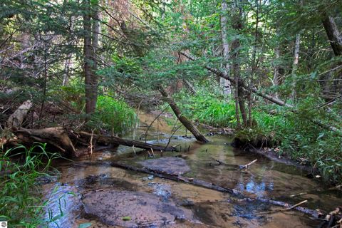 Tiny photo for V/L US-131, Kalkaska, MI 49646 (MLS # 1937828)