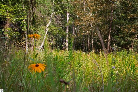 Tiny photo for V/L US-131, Kalkaska, MI 49646 (MLS # 1937828)