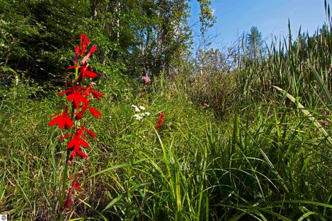 Tiny photo for V/L US-131, Kalkaska, MI 49646 (MLS # 1937828)