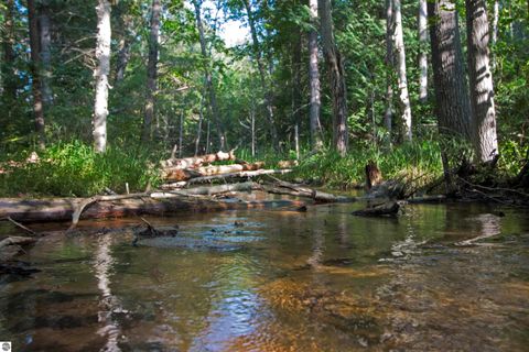 Tiny photo for V/L US-131, Kalkaska, MI 49646 (MLS # 1937828)