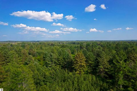 Tiny photo for V/L US-131, Kalkaska, MI 49646 (MLS # 1937828)