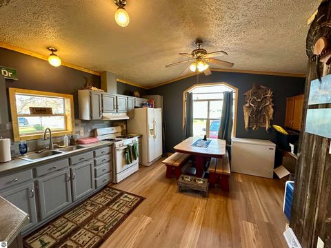 Tiny photo for 403 Farm Lane, Cadillac, MI 49601 (MLS # 1940776)