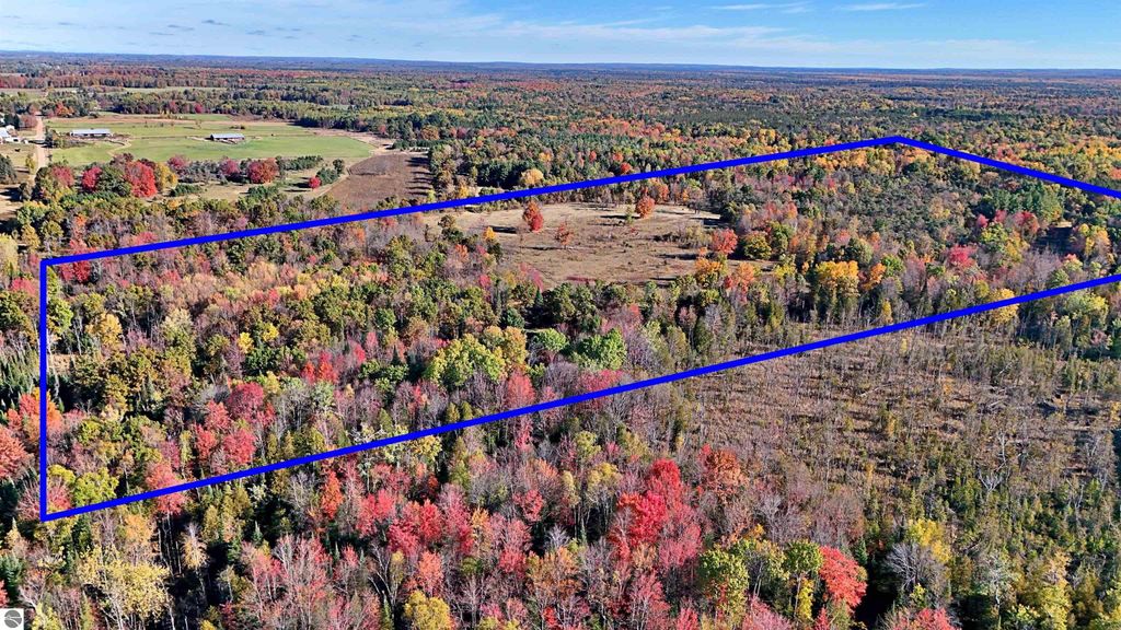 Photo of 0 Twin Lake Road, Marion, MI 49665 (MLS # 1939701)