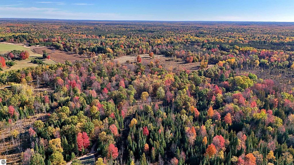 Photo of 0 Twin Lake Road, Marion, MI 49665 (MLS # 1939701)