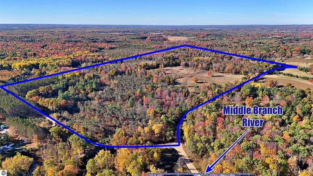 Photo of 0 Twin Lake Road, Marion, MI 49665 (MLS # 1939701)