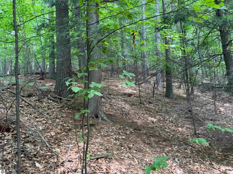 Tiny photo for 18 Woods Drive, Traverse City, MI 49686 (MLS # 1936295)