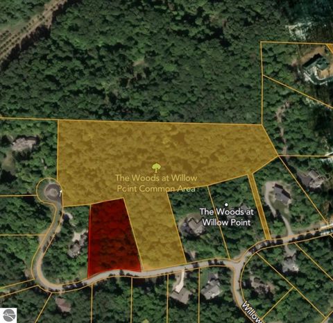 Tiny photo for 18 Woods Drive, Traverse City, MI 49686 (MLS # 1936295)