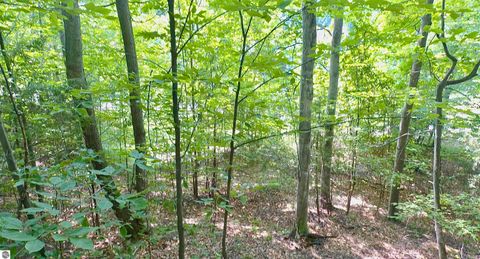 Tiny photo for 18 Woods Drive, Traverse City, MI 49686 (MLS # 1936295)