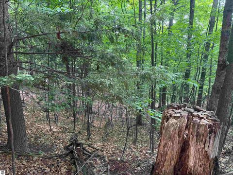 Tiny photo for 18 Woods Drive, Traverse City, MI 49686 (MLS # 1936295)