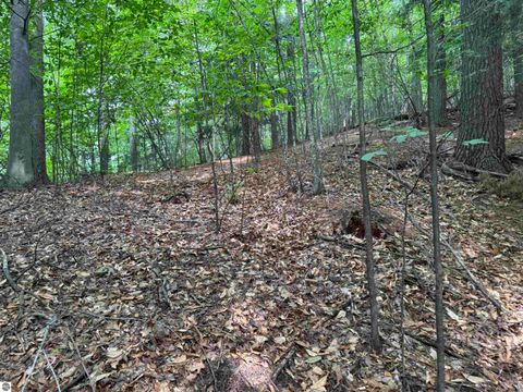 Tiny photo for 18 Woods Drive, Traverse City, MI 49686 (MLS # 1936295)