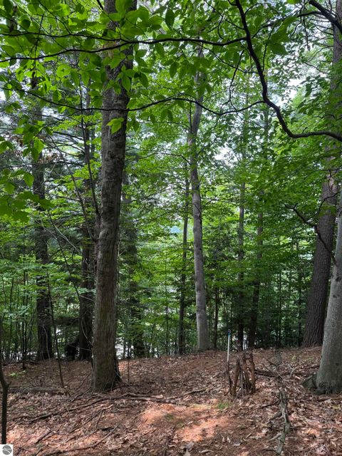 Tiny photo for 18 Woods Drive, Traverse City, MI 49686 (MLS # 1936295)