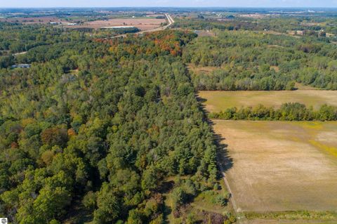 Tiny photo for 11258 N Genuine Road, Clare, MI 48617 (MLS # 1939717)