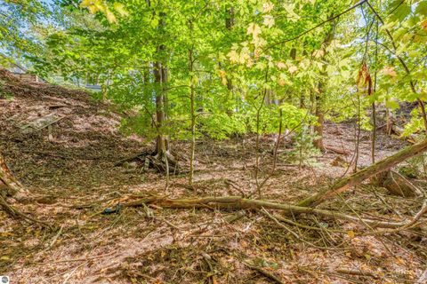 Tiny photo for 7924 Campbell, Hale, MI 48739 (MLS # 1939392)