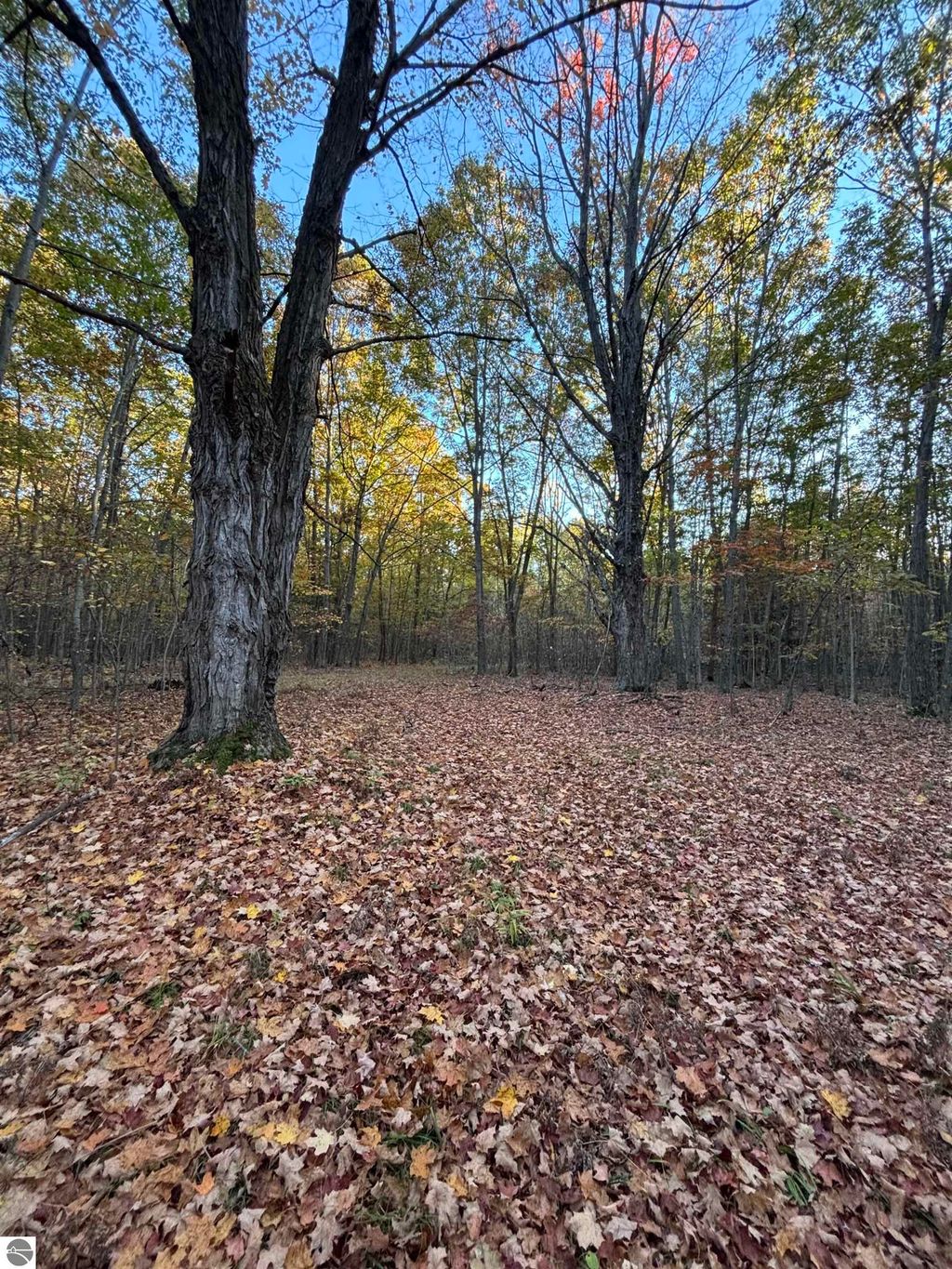 Photo of 10000 E Pickard Road, Mt Pleasant, MI 48858 (MLS # 1939728)