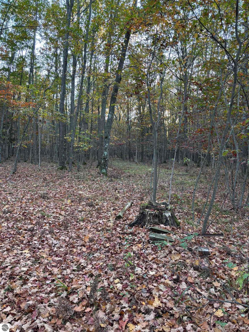 Photo of 10000 E Pickard Road, Mt Pleasant, MI 48858 (MLS # 1939728)
