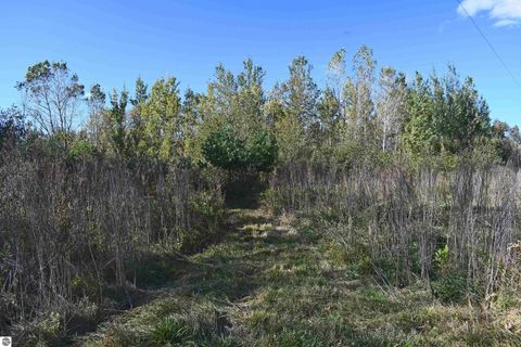 Tiny photo for 2275 Noble Road, Tawas City, MI 48763 (MLS # 1940150)