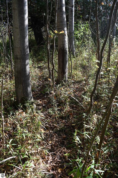 Tiny photo for 2275 Noble Road, Tawas City, MI 48763 (MLS # 1940150)