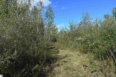 Tiny photo for 2275 Noble Road, Tawas City, MI 48763 (MLS # 1940150)