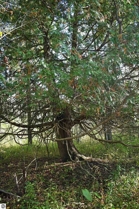 Tiny photo for 2275 Noble Road, Tawas City, MI 48763 (MLS # 1940150)