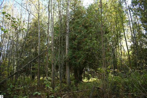 Tiny photo for 2275 Noble Road, Tawas City, MI 48763 (MLS # 1940150)