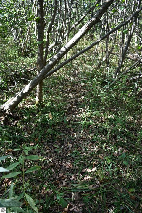 Tiny photo for 2275 Noble Road, Tawas City, MI 48763 (MLS # 1940150)