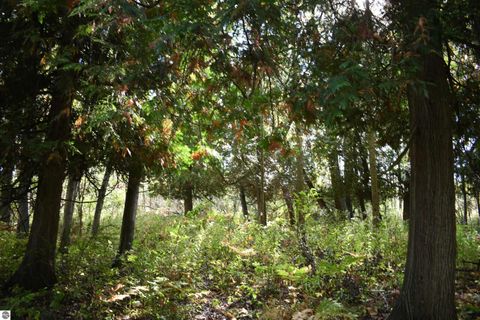 Tiny photo for 2275 Noble Road, Tawas City, MI 48763 (MLS # 1940150)