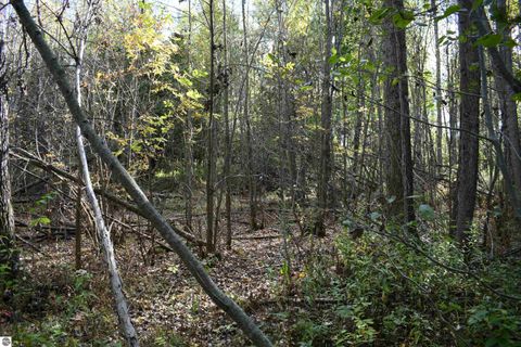 Tiny photo for 2275 Noble Road, Tawas City, MI 48763 (MLS # 1940150)