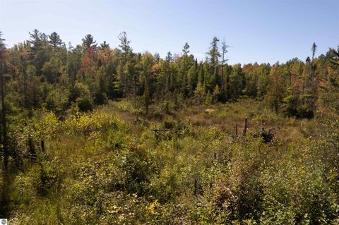 Tiny photo for 533 Fisher Road, Traverse City, MI 49685 (MLS # 1939401)